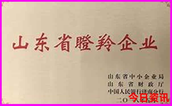 江门附近海边旅游景点
